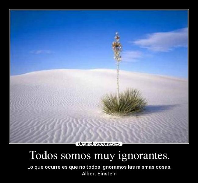 Todos somos muy ignorantes. - Lo que ocurre es que no todos ignoramos las mismas cosas.
Albert Einstein