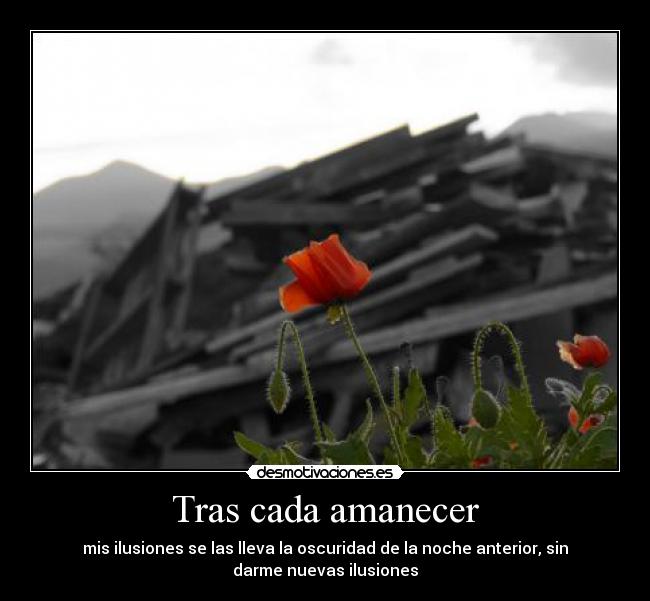 Tras cada amanecer - mis ilusiones se las lleva la oscuridad de la noche anterior, sin
darme nuevas ilusiones