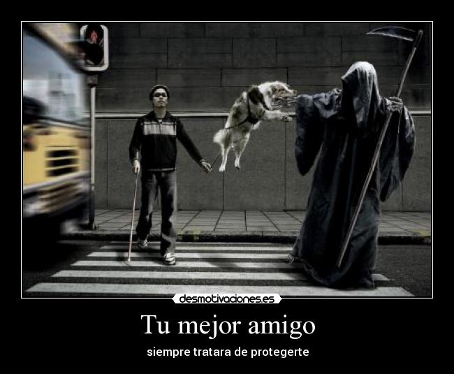 Tu mejor amigo - 
