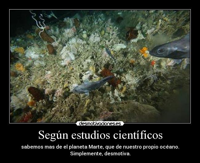 Según estudios científicos - 