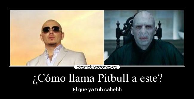 carteles pitbull voldemort chiste harry potter horterada desmotivaciones