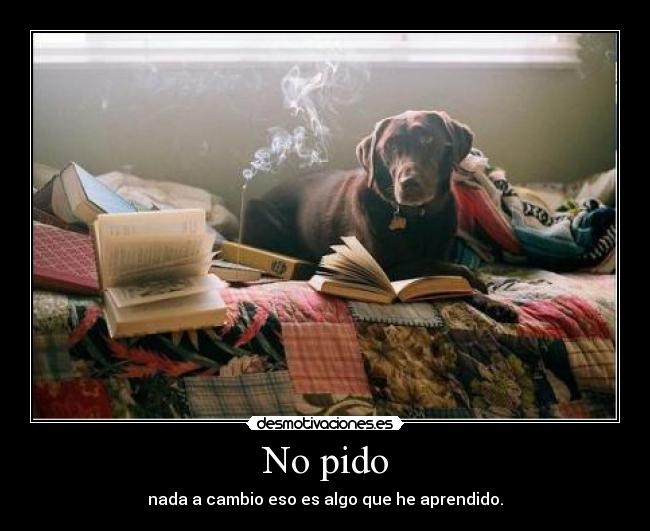 No pido - nada a cambio eso es algo que he aprendido.