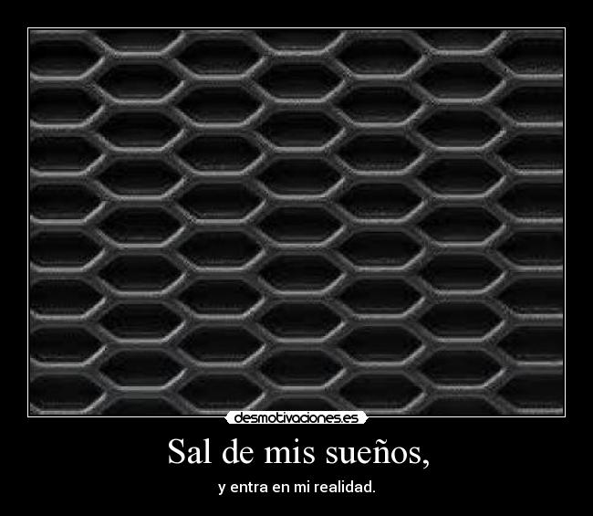 Sal de mis sueños, - y entra en mi realidad.