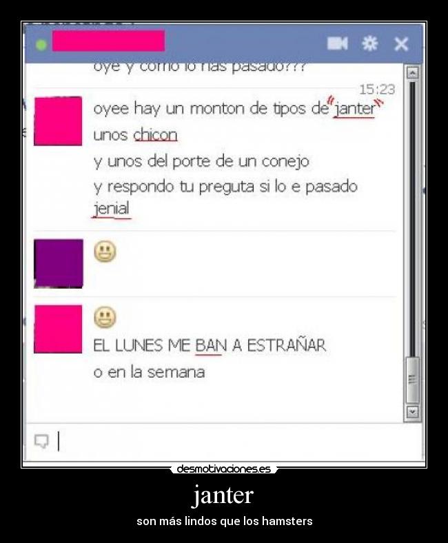 janter - son más lindos que los hamsters