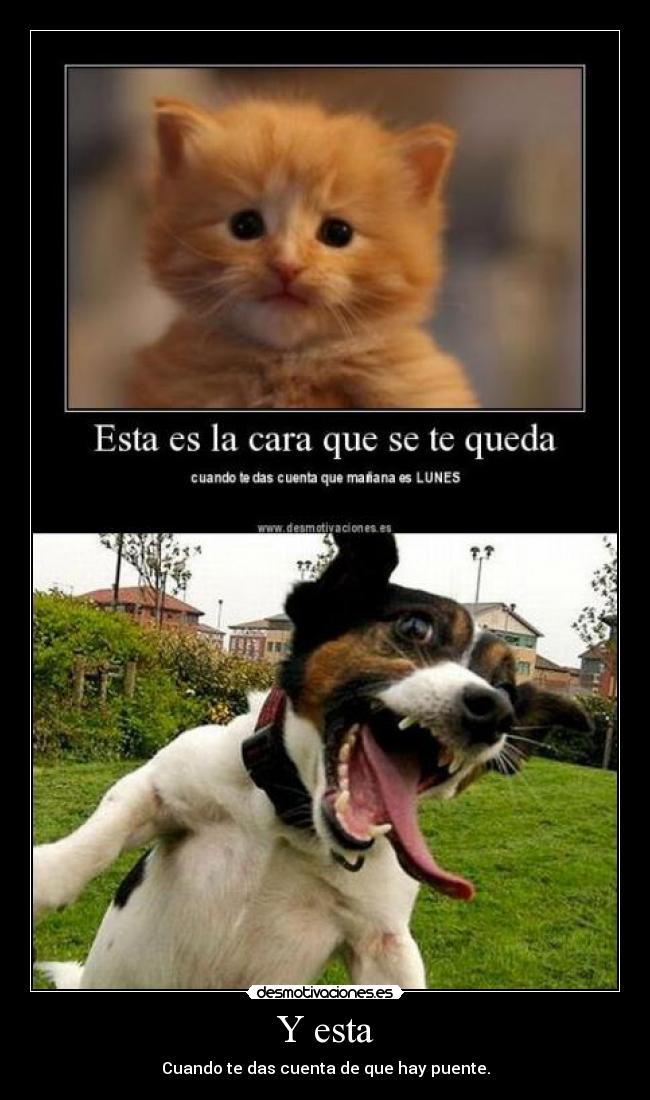 Y esta - Cuando te das cuenta de que hay puente.