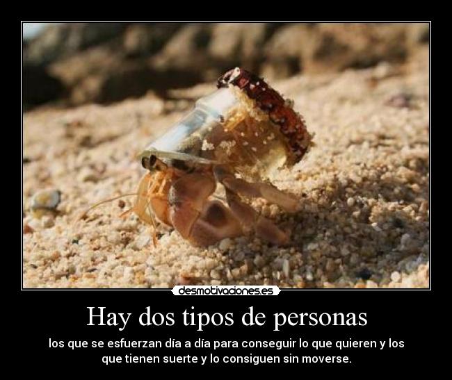 carteles desmotivaciones