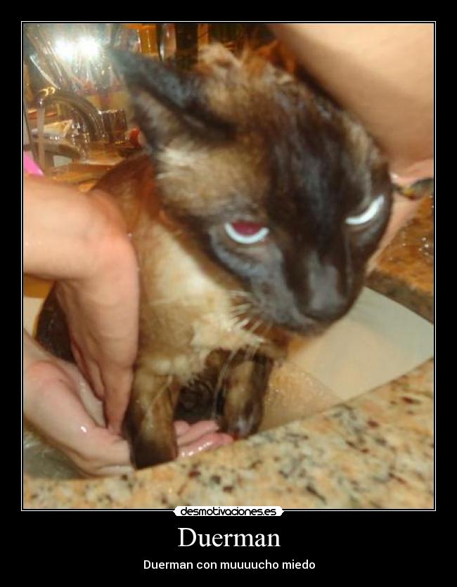 Duerman - Duerman con muuuucho miedo