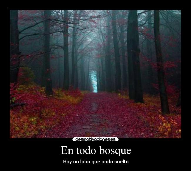 En todo bosque - Hay un lobo que anda suelto