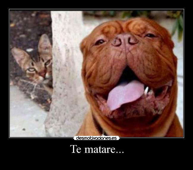 Te matare... - 