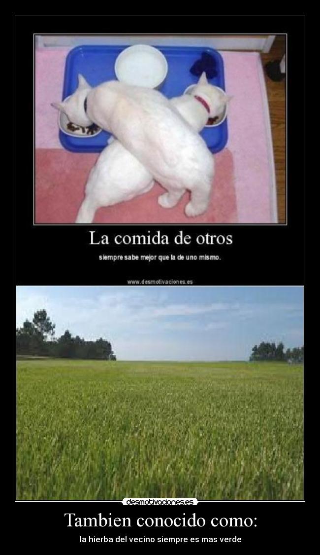Tambien conocido como: - la hierba del vecino siempre es mas verde