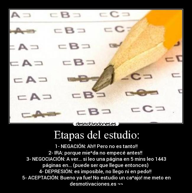 Etapas del estudio: - 