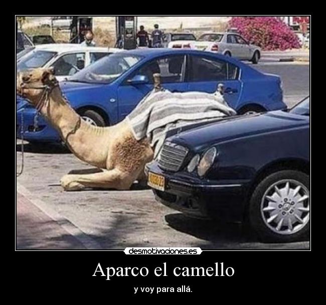 Aparco el camello - y voy para allá.