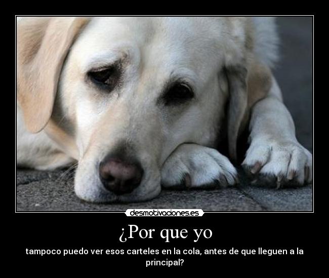 ¿Por que yo - tampoco puedo ver esos carteles en la cola, antes de que lleguen a la principal?