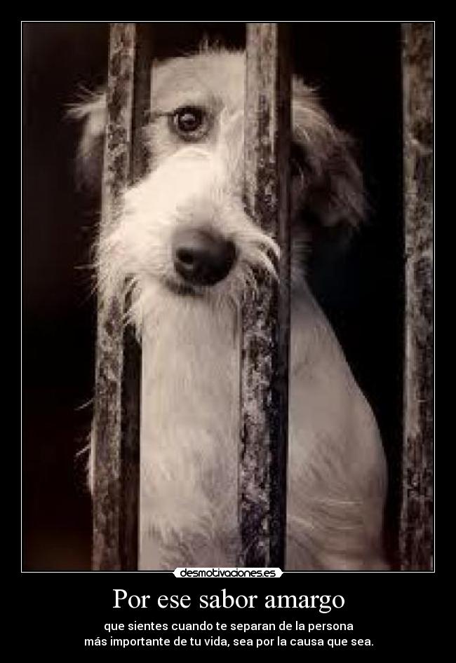 Por ese sabor amargo - que sientes cuando te separan de la persona
más importante de tu vida, sea por la causa que sea.