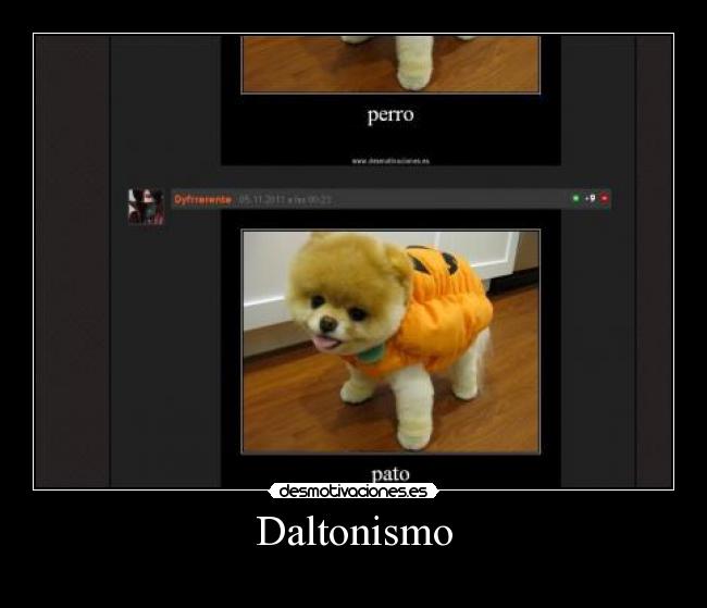 carteles cierto aumentad realidad desmotivaciones