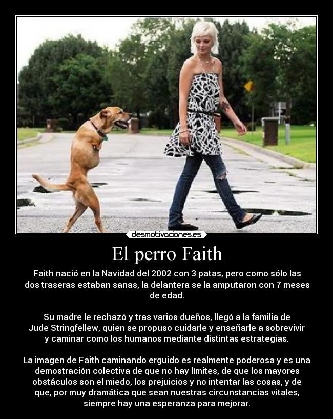 El perro Faith - 