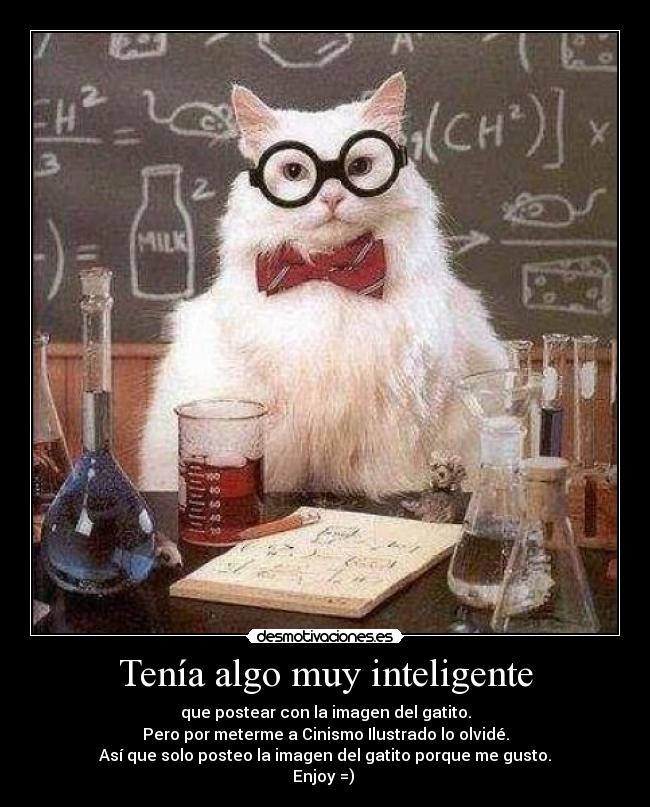 Tenía algo muy inteligente - que postear con la imagen del gatito.
Pero por meterme a Cinismo Ilustrado lo olvidé.
Así que solo posteo la imagen del gatito porque me gusto.
Enjoy =) ♥