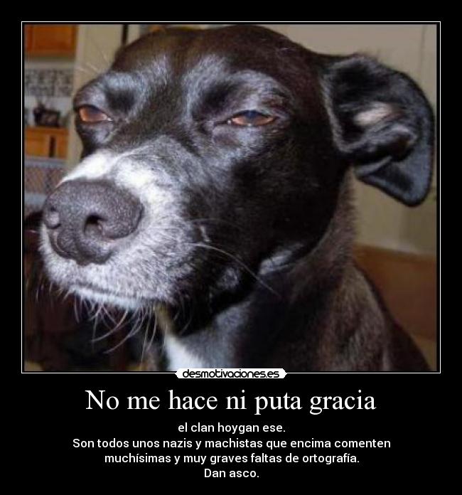 No me hace ni puta gracia - el clan hoygan ese.
Son todos unos nazis y machistas que encima comenten
muchísimas y muy graves faltas de ortografía.
Dan asco.
