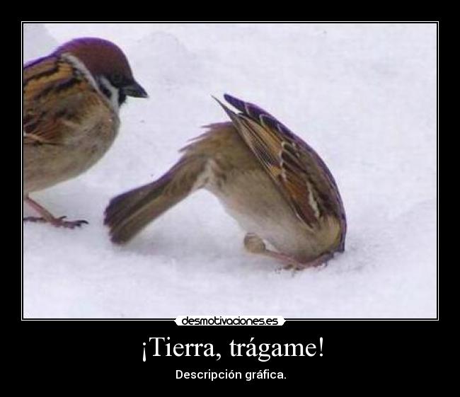 ¡Tierra, trágame! - Descripción gráfica.