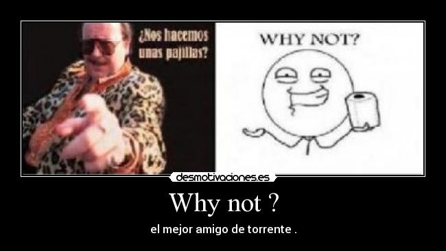 Why not ? - el mejor amigo de torrente .