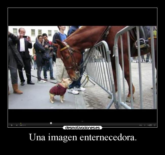 Una imagen enternecedora. - 