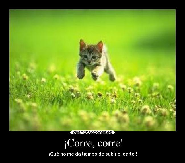 ¡Corre, corre! - 