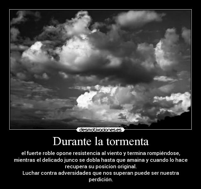 Durante la tormenta - el fuerte roble opone resistencia al viento y termina rompiéndose,
mientras el delicado junco se dobla hasta que amaina y cuando lo hace
recupera su posicion original.
Luchar contra adversidades que nos superan puede ser nuestra
perdición.