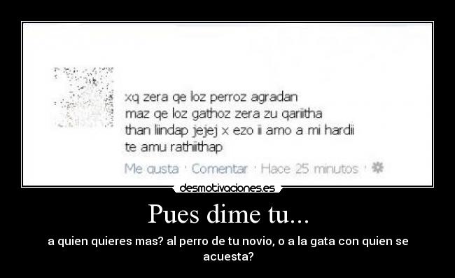 Pues dime tu... - a quien quieres mas? al perro de tu novio, o a la gata con quien se acuesta?