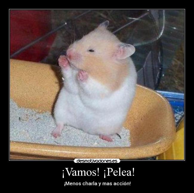 ¡Vamos! ¡Pelea! - ¡Menos charla y mas acción!