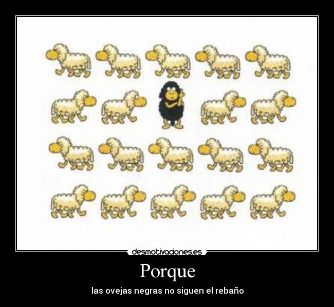 Porque - las ovejas negras no siguen el rebaño