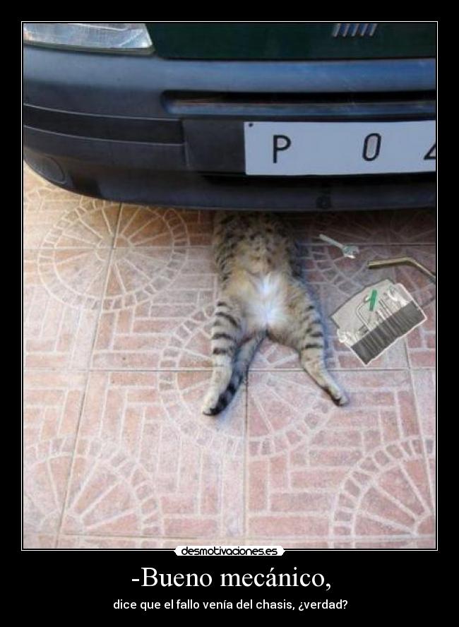 -Bueno mecánico, -