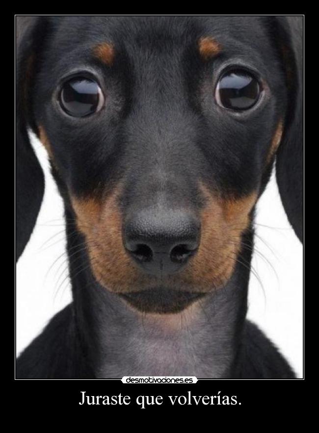 Juraste que volverías. -