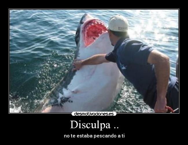 Disculpa .. - no te estaba pescando a ti