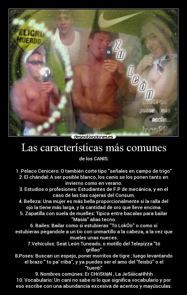 Las características más comunes - de los CANIS:

1. Pelaco Cenicero: O también corte tipo señales en campo de trigo
2. El chándal: A ser posible blanco, los canis se los ponen tanto en
invierno como en verano.
3. Estudios o profesiones: Estudiantes de F.P de mecánica, y en el
caso de las tias cajeras del Consum.
4. Belleza: Una mujer es más bella proporcionalmente si la ralla del
ojo la tiene más larga, y la cantidad de oro que lleve encima.
5. Zapatilla con suela de muelles: Típica entre bacalas para bailar
Masía alias tecno.
6. Bailes: Bailar como si estubieras Tó LokÓò o como si
estubieras pegandole a un tio con unmartillo a la cabeza, a la vez que
mueles unas nueces.
7.Vehículos: Seat León Tuneado, o motillo del Telepizza tó
grillao
8.Poses: Buscan un espejo, poner morritos de tigre ; luego levantando
el brazo  to pa rriba, y ya puedes ser el amo del feisbú o el
tuenti
9. Nombres comúnes: Er CHrìStIáN , La JeSiiiicaHhhh
10. Vocabulario: Un cani no sabe ni lo que significa vocabulario y por
eso escribe con una abundancia excesiva de acentos y mayúsculas.