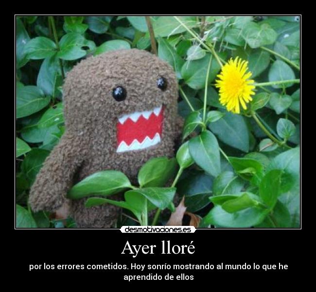 Ayer lloré - 