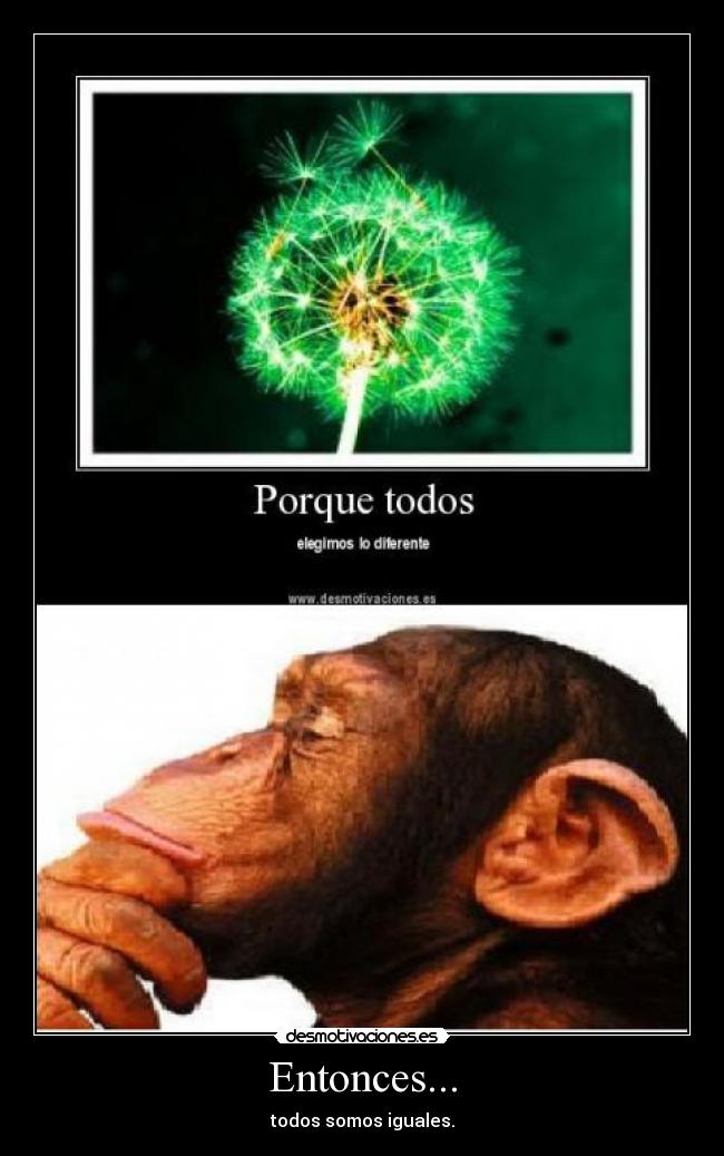 Entonces... - todos somos iguales.