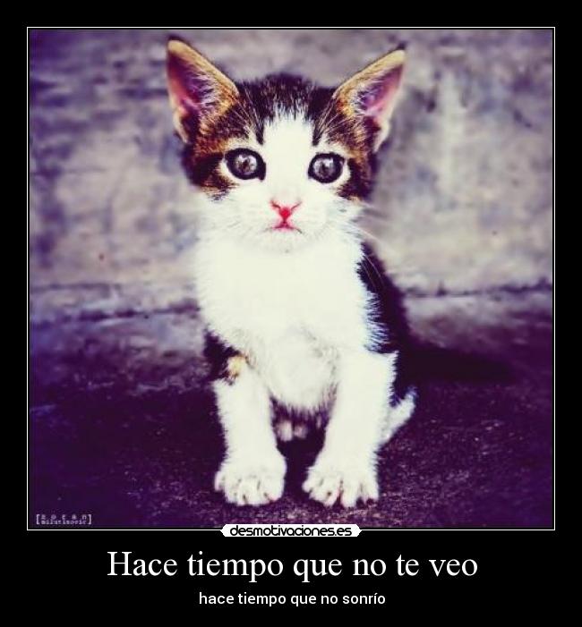 Hace tiempo que no te veo -