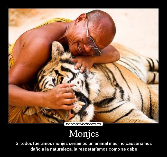 Monjes - Si todos fueramos monjes seriamos un animal más, no causaríamos
daño a la naturaleza, la respetaríamos como se debe