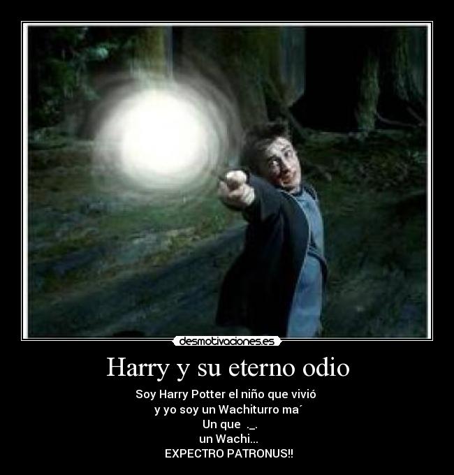 carteles odio harry potter expectro patronus wachiturros desmotivaciones