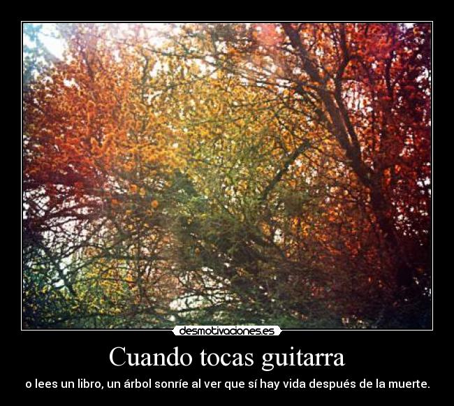 Cuando tocas guitarra - o lees un libro, un árbol sonríe al ver que sí hay vida después de la muerte.