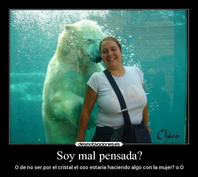Soy mal pensada? - O de no ser por el cristal el oso estaría haciendo algo con la mujer? o.O