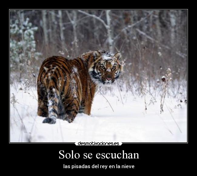 Solo se escuchan - las pisadas del rey en la nieve