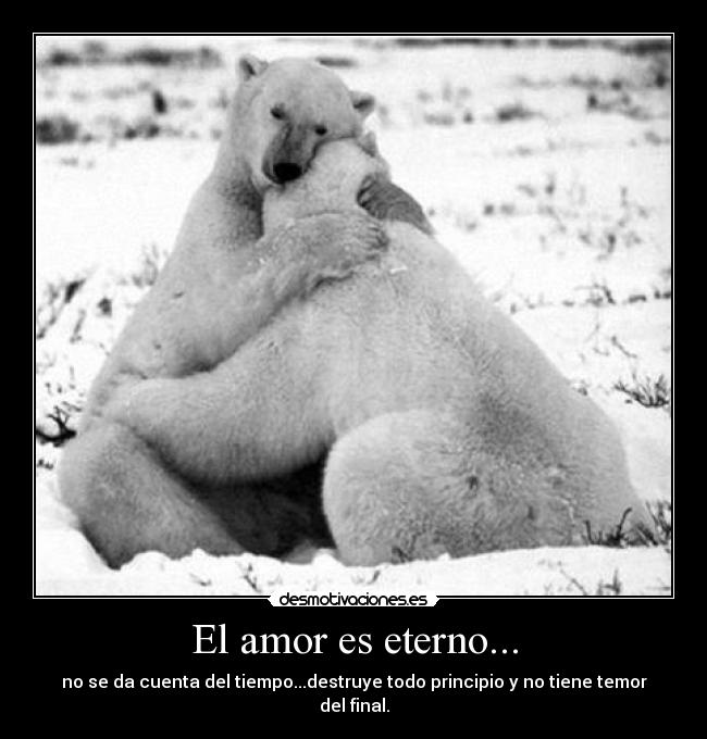 El amor es eterno... - no se da cuenta del tiempo...destruye todo principio y no tiene temor del final.