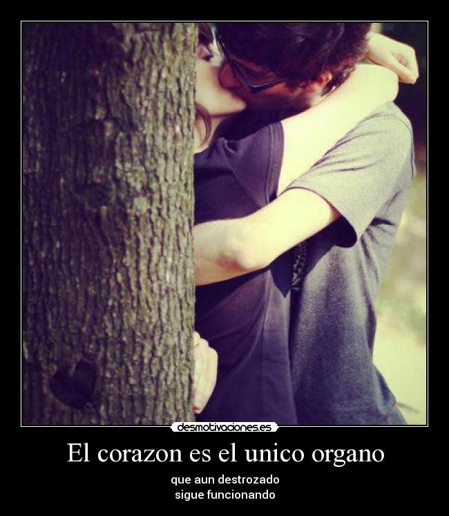 El corazon es el unico organo - 