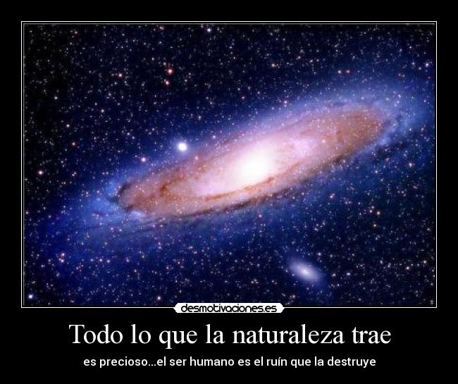 Todo lo que la naturaleza trae -