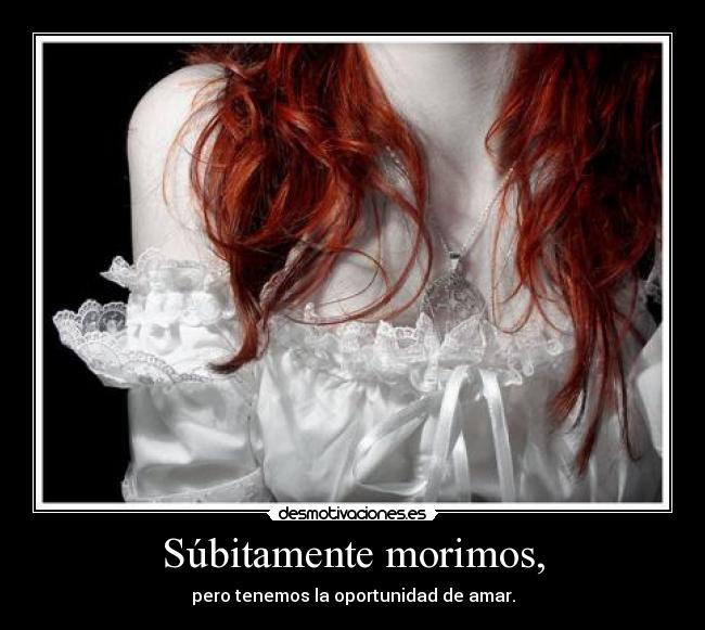 carteles elizabeth morimos pero amamos desmotivaciones