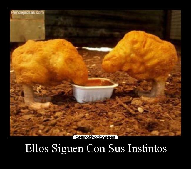 carteles ellos siguen con sus instintos desmotivaciones