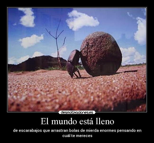 El mundo está lleno - de escarabajos que arrastran bolas de mierda enormes pensando en
cuál te mereces