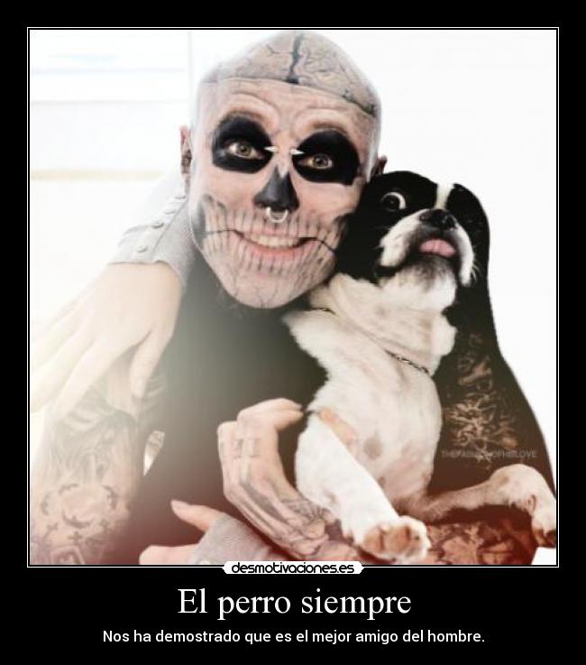 El perro siempre - 