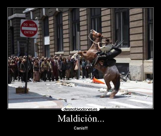Maldición... - Canis!!!